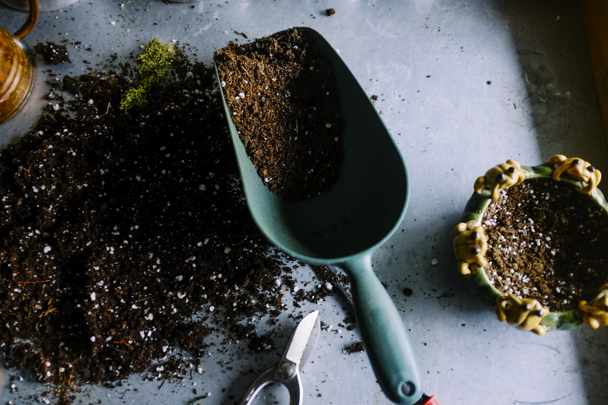 Hands working with soil and a small plant, small, patient, daily care